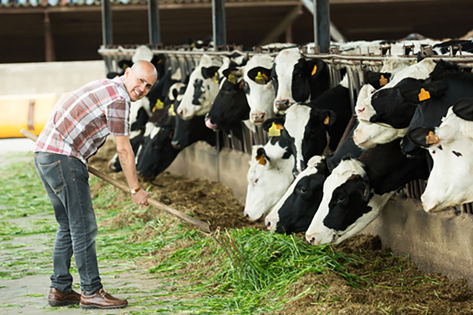 Hygiene-Produkte für die Landwirtschaft